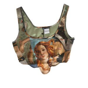 Zara Multicolor Renaissance Print Crop Top